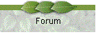 Forum